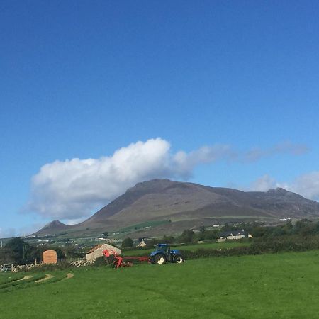 فيلا أنالونغفي Willowtree Glamping Mournes المظهر الخارجي الصورة