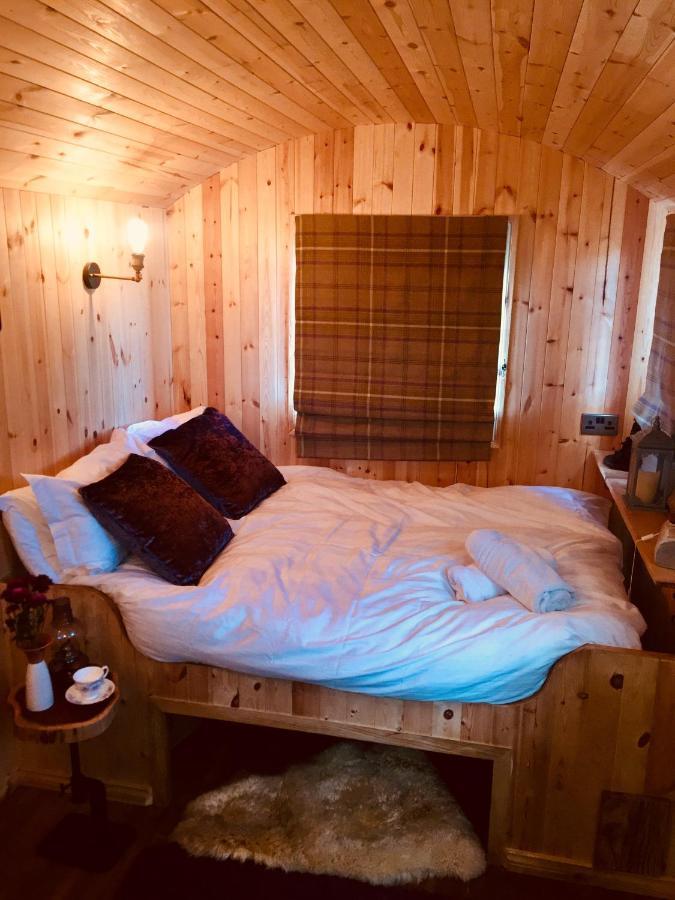 فيلا أنالونغفي Willowtree Glamping Mournes المظهر الخارجي الصورة