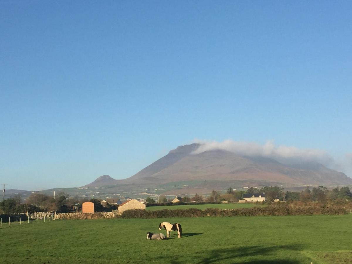 فيلا أنالونغفي Willowtree Glamping Mournes المظهر الخارجي الصورة